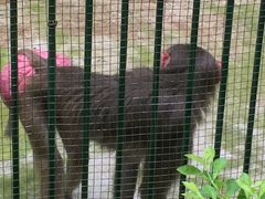 -广东茂名森林公园