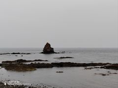 -石老人观光园