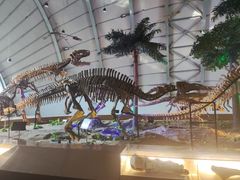 -辽宁古生物博物馆