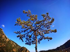 -辛玛王国游乐园