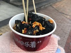 黑色经典长沙臭豆腐-黑色经典臭豆腐·湖南特产(坡子街店)
