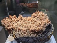 -湖南省地质博物馆