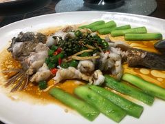 青花椒蒸笋壳鱼-猪肉婆私房菜(容桂总店)