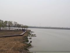 -西青郊野公园