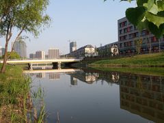 -新江湾城公园