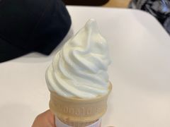 -麦当劳(新洲南路店)
