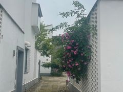 -东梓关景区村庄