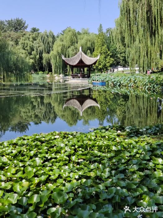 陶然亭公园图片