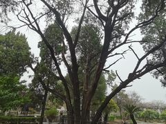 -孔府