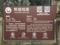 -都江堰中华大熊猫苑