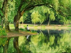 -上海共青森林公园