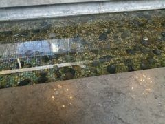 -天津君隆威斯汀酒店