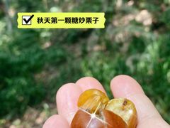 -方林富炒货店(西溪路78号本人店)