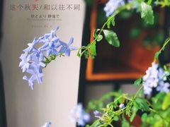 -愉市 Hippy Market(香榭里花园店)