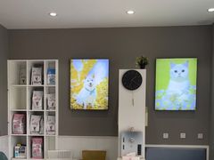 -关爱宠物医院·猫科中心·消化科(滨湖万达分院)