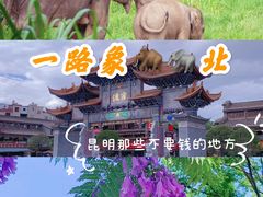 -云南省博物馆