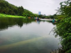 -桂湖森林公园