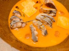 鮰鱼-云中鱼蒸汽石锅鱼(川沙百联店)