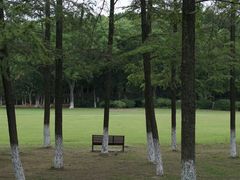 -宜兴龙背山森林公园