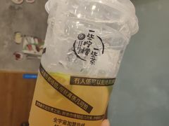 -一些柠檬一些茶(西村店)
