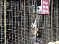 -武陵山森林公园