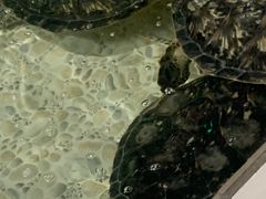 -常州海昌海洋探索馆
