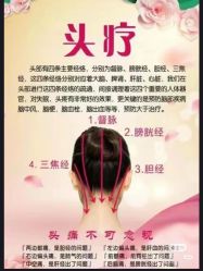 -Bollins波林丝•专研护发中心