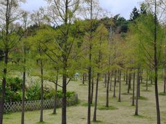 -牛岗山公园