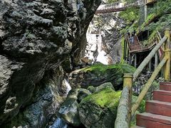 -牛背梁国家森林公园