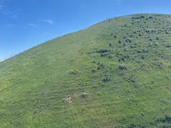 -新疆那拉提国家旅游度假区