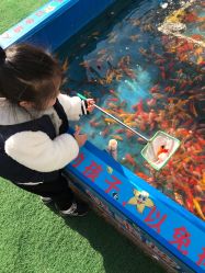 -萌宠亲子动物乐园(槐房万达店)