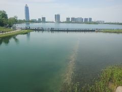 -桐乡凤凰湖