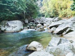 -酒仙湖景区
