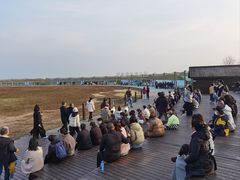 -盐城丹顶鹤湿地生态旅游区