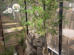 -绿茶餐厅(青岛城阳万象汇店)