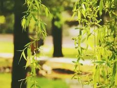 吉林大学(前卫南校区)-吉林大学(前卫南区)