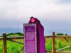 -阳台山自然风景区