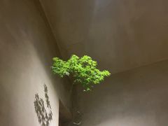 -陶享时光西餐·下午茶(信河街店)