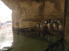 -悉尼海洋生物水族馆