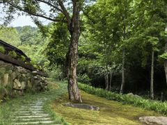 -苍龙峡风景区