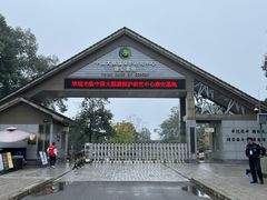 -中国大熊猫保护研究中心雅安碧峰峡基地