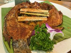 -紫滇源云南生态菜(丹凤街店)