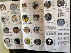 -喵屿·大理花园猫咖