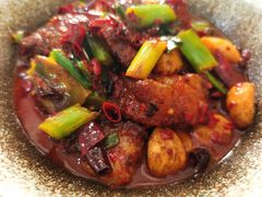 红烧肉-老游独一佳湘菜馆(高新四路店)