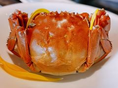 清蒸大闸蟹-蟹榭·本帮江浙菜·蟹宴(五角场合生汇商场店)