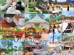 -美的鹭湖森林度假区
