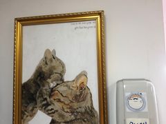 -三花喵·撸猫购宠·宠物生活馆(虹桥南丰城店)
