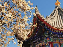 -西安市广仁寺