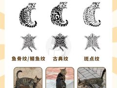 -翊宠yipet猫狗购宠庄园犬舍•猫舍