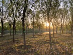 -东郊湿地公园